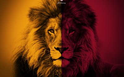 博乐体育独家-但球迷爱死他了